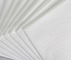 Spunlace Nonwoven